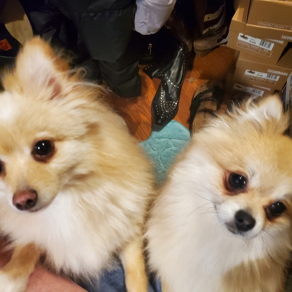 Some of my babies♡ - Picture 6 of 16